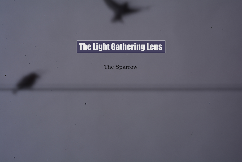 Free download - The Sparrow