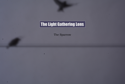 Free download - The Sparrow